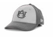	Auburn Tigers New Era NCAA Platinum Classic Cap	