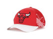 	Chicago Bulls NBA Bankshot Cap	
