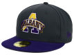 	Albany Great Danes New Era 59FIFTY NCAA 2 Tone Graphite and Team Color	