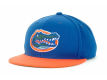 	Florida Gators Top of the World NCAA Singled Out Snapback Cap	